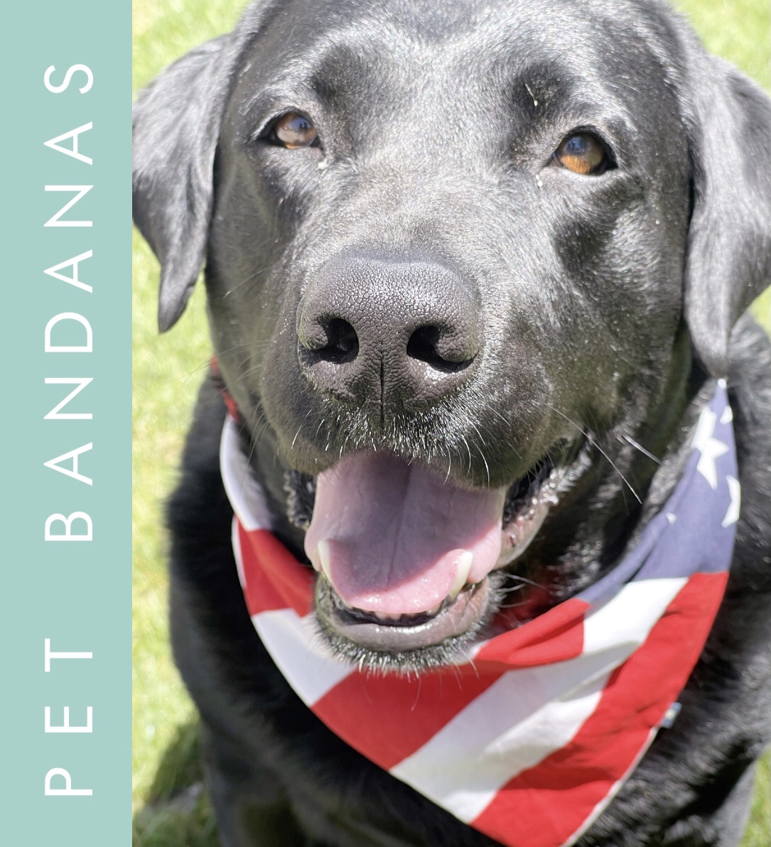 GRAPHIC.Pet.Bandanas