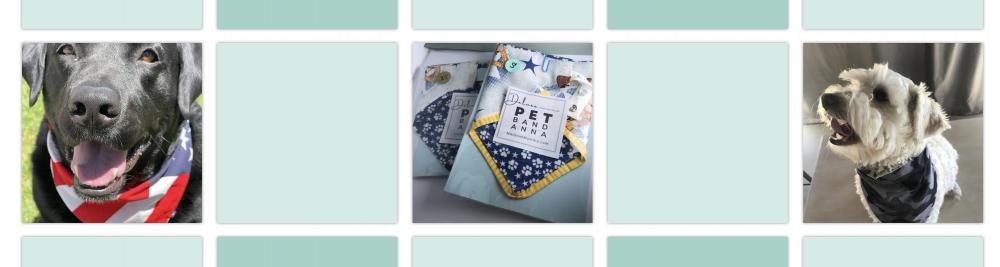 pet-bandanas-banner.jpg